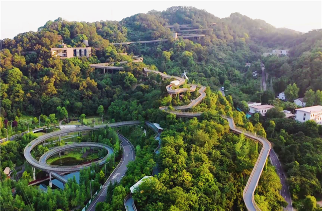 PT视讯集团荣获两项国家级协会工程建设科学技术奖！